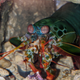 Mantis shrimp